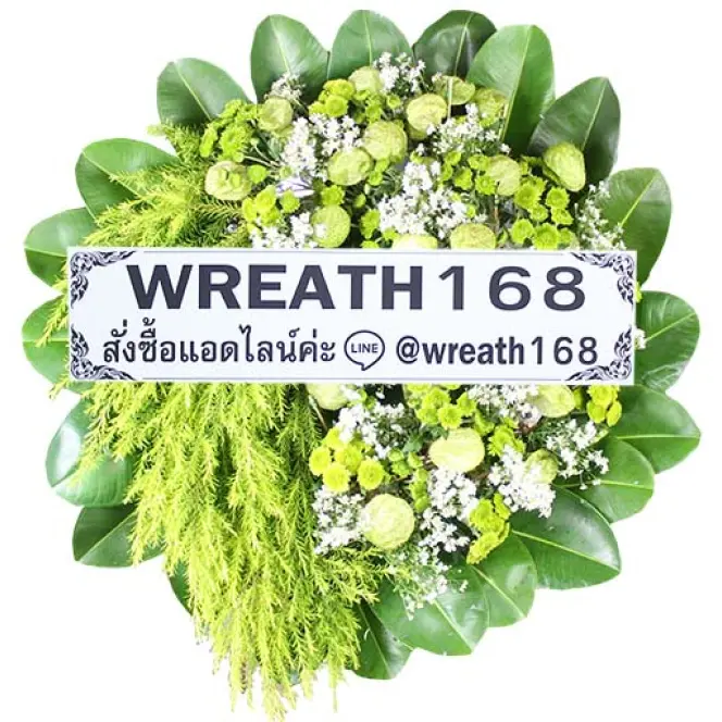 อิงดาว 503